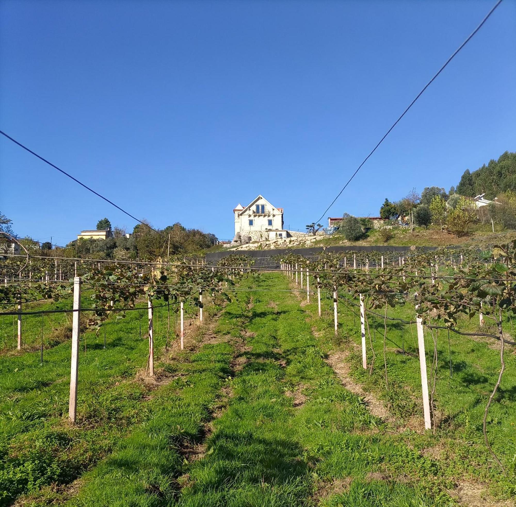 Quinta Do Bairro Villa Виейра до Миньо Екстериор снимка
